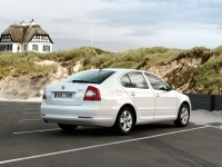 Skoda Octavia Liftback 5-door (2 generation) 1.4 TSI presented at Greentech MT (122 HP) foto, Skoda Octavia Liftback 5-door (2 generation) 1.4 TSI presented at Greentech MT (122 HP) fotos, Skoda Octavia Liftback 5-door (2 generation) 1.4 TSI presented at Greentech MT (122 HP) imagen, Skoda Octavia Liftback 5-door (2 generation) 1.4 TSI presented at Greentech MT (122 HP) imagenes, Skoda Octavia Liftback 5-door (2 generation) 1.4 TSI presented at Greentech MT (122 HP) fotografía