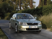 Skoda Octavia Liftback 5-door (2 generation) 1.6 MPI AT (102 HP), Elegance (CKD) foto, Skoda Octavia Liftback 5-door (2 generation) 1.6 MPI AT (102 HP), Elegance (CKD) fotos, Skoda Octavia Liftback 5-door (2 generation) 1.6 MPI AT (102 HP), Elegance (CKD) imagen, Skoda Octavia Liftback 5-door (2 generation) 1.6 MPI AT (102 HP), Elegance (CKD) imagenes, Skoda Octavia Liftback 5-door (2 generation) 1.6 MPI AT (102 HP), Elegance (CKD) fotografía