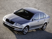 Skoda Octavia Liftback 5-door (2 generation) 1.9 TDI DPF DSG (105 HP) opiniones, Skoda Octavia Liftback 5-door (2 generation) 1.9 TDI DPF DSG (105 HP) precio, Skoda Octavia Liftback 5-door (2 generation) 1.9 TDI DPF DSG (105 HP) comprar, Skoda Octavia Liftback 5-door (2 generation) 1.9 TDI DPF DSG (105 HP) caracteristicas, Skoda Octavia Liftback 5-door (2 generation) 1.9 TDI DPF DSG (105 HP) especificaciones, Skoda Octavia Liftback 5-door (2 generation) 1.9 TDI DPF DSG (105 HP) Ficha tecnica, Skoda Octavia Liftback 5-door (2 generation) 1.9 TDI DPF DSG (105 HP) Automovil