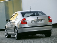 Skoda Octavia Liftback 5-door (2 generation) 1.9 TDI DSG (105 HP) foto, Skoda Octavia Liftback 5-door (2 generation) 1.9 TDI DSG (105 HP) fotos, Skoda Octavia Liftback 5-door (2 generation) 1.9 TDI DSG (105 HP) imagen, Skoda Octavia Liftback 5-door (2 generation) 1.9 TDI DSG (105 HP) imagenes, Skoda Octavia Liftback 5-door (2 generation) 1.9 TDI DSG (105 HP) fotografía