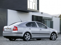 Skoda Octavia Liftback 5-door (2 generation) 1.9 TDI DSG (105 HP) foto, Skoda Octavia Liftback 5-door (2 generation) 1.9 TDI DSG (105 HP) fotos, Skoda Octavia Liftback 5-door (2 generation) 1.9 TDI DSG (105 HP) imagen, Skoda Octavia Liftback 5-door (2 generation) 1.9 TDI DSG (105 HP) imagenes, Skoda Octavia Liftback 5-door (2 generation) 1.9 TDI DSG (105 HP) fotografía