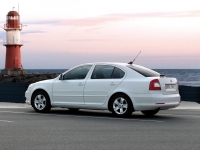 Skoda Octavia Liftback 5-door (2 generation) 1.9 TDI MT foto, Skoda Octavia Liftback 5-door (2 generation) 1.9 TDI MT fotos, Skoda Octavia Liftback 5-door (2 generation) 1.9 TDI MT imagen, Skoda Octavia Liftback 5-door (2 generation) 1.9 TDI MT imagenes, Skoda Octavia Liftback 5-door (2 generation) 1.9 TDI MT fotografía