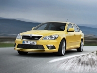 Skoda Octavia RS liftback 5-door (2 generation) 2.0 TDI DSG opiniones, Skoda Octavia RS liftback 5-door (2 generation) 2.0 TDI DSG precio, Skoda Octavia RS liftback 5-door (2 generation) 2.0 TDI DSG comprar, Skoda Octavia RS liftback 5-door (2 generation) 2.0 TDI DSG caracteristicas, Skoda Octavia RS liftback 5-door (2 generation) 2.0 TDI DSG especificaciones, Skoda Octavia RS liftback 5-door (2 generation) 2.0 TDI DSG Ficha tecnica, Skoda Octavia RS liftback 5-door (2 generation) 2.0 TDI DSG Automovil