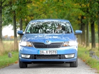 Skoda Rapid Liftback (4th generation) 1.6 TDI MT Green tec (105 HP) opiniones, Skoda Rapid Liftback (4th generation) 1.6 TDI MT Green tec (105 HP) precio, Skoda Rapid Liftback (4th generation) 1.6 TDI MT Green tec (105 HP) comprar, Skoda Rapid Liftback (4th generation) 1.6 TDI MT Green tec (105 HP) caracteristicas, Skoda Rapid Liftback (4th generation) 1.6 TDI MT Green tec (105 HP) especificaciones, Skoda Rapid Liftback (4th generation) 1.6 TDI MT Green tec (105 HP) Ficha tecnica, Skoda Rapid Liftback (4th generation) 1.6 TDI MT Green tec (105 HP) Automovil