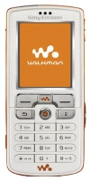 Sony Ericsson W800i opiniones, Sony Ericsson W800i precio, Sony Ericsson W800i comprar, Sony Ericsson W800i caracteristicas, Sony Ericsson W800i especificaciones, Sony Ericsson W800i Ficha tecnica, Sony Ericsson W800i Telefonía móvil