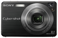 Sony Cyber-shot DSC-W130 foto, Sony Cyber-shot DSC-W130 fotos, Sony Cyber-shot DSC-W130 imagen, Sony Cyber-shot DSC-W130 imagenes, Sony Cyber-shot DSC-W130 fotografía