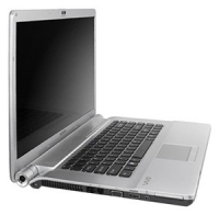 Sony VAIO VGN-FW41MR (Core 2 Duo P8700 2530 Mhz/16.4