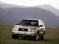 Subaru Forester Crossover (2 generation) 2.5 MT AWD Turbo foto, Subaru Forester Crossover (2 generation) 2.5 MT AWD Turbo fotos, Subaru Forester Crossover (2 generation) 2.5 MT AWD Turbo imagen, Subaru Forester Crossover (2 generation) 2.5 MT AWD Turbo imagenes, Subaru Forester Crossover (2 generation) 2.5 MT AWD Turbo fotografía