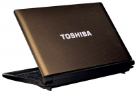 Toshiba NB550D-10K (C-50 1000 Mhz/10.1"/1024x600/1024Mb/250Gb/DVD no/ATI Radeon HD 6250M/Wi-Fi/Bluetooth/Win 7 Starter) foto, Toshiba NB550D-10K (C-50 1000 Mhz/10.1"/1024x600/1024Mb/250Gb/DVD no/ATI Radeon HD 6250M/Wi-Fi/Bluetooth/Win 7 Starter) fotos, Toshiba NB550D-10K (C-50 1000 Mhz/10.1"/1024x600/1024Mb/250Gb/DVD no/ATI Radeon HD 6250M/Wi-Fi/Bluetooth/Win 7 Starter) imagen, Toshiba NB550D-10K (C-50 1000 Mhz/10.1"/1024x600/1024Mb/250Gb/DVD no/ATI Radeon HD 6250M/Wi-Fi/Bluetooth/Win 7 Starter) imagenes, Toshiba NB550D-10K (C-50 1000 Mhz/10.1"/1024x600/1024Mb/250Gb/DVD no/ATI Radeon HD 6250M/Wi-Fi/Bluetooth/Win 7 Starter) fotografía
