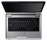 Toshiba SATELLITE PRO A300-21B (Core 2 Duo T6400 2000 Mhz/15.4