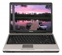 Toshiba SATELLITE PRO M300-EZ1001V (Core 2 Duo T8100 2100 Mhz/14.1