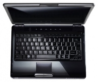 Toshiba SATELLITE U400-10M (Core 2 Duo T5850 2160 Mhz/13.3