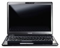 Toshiba SATELLITE U400-218 (Pentium Dual-Core T4200 2000 Mhz/13.3