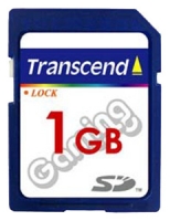 Transcend TS1GSDG opiniones, Transcend TS1GSDG precio, Transcend TS1GSDG comprar, Transcend TS1GSDG caracteristicas, Transcend TS1GSDG especificaciones, Transcend TS1GSDG Ficha tecnica, Transcend TS1GSDG Tarjeta de memoria