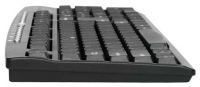 Trust Camiva Multimedia Keyboard Black USB+PS/2 foto, Trust Camiva Multimedia Keyboard Black USB+PS/2 fotos, Trust Camiva Multimedia Keyboard Black USB+PS/2 imagen, Trust Camiva Multimedia Keyboard Black USB+PS/2 imagenes, Trust Camiva Multimedia Keyboard Black USB+PS/2 fotografía