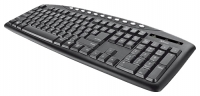 Trust Eyso Multimedia Keyboard Black USB foto, Trust Eyso Multimedia Keyboard Black USB fotos, Trust Eyso Multimedia Keyboard Black USB imagen, Trust Eyso Multimedia Keyboard Black USB imagenes, Trust Eyso Multimedia Keyboard Black USB fotografía