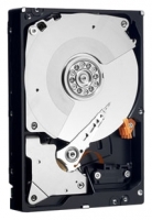 Western Digital WD1000FYYG opiniones, Western Digital WD1000FYYG precio, Western Digital WD1000FYYG comprar, Western Digital WD1000FYYG caracteristicas, Western Digital WD1000FYYG especificaciones, Western Digital WD1000FYYG Ficha tecnica, Western Digital WD1000FYYG Disco duro