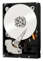 Western Digital WD2000F9YZ opiniones, Western Digital WD2000F9YZ precio, Western Digital WD2000F9YZ comprar, Western Digital WD2000F9YZ caracteristicas, Western Digital WD2000F9YZ especificaciones, Western Digital WD2000F9YZ Ficha tecnica, Western Digital WD2000F9YZ Disco duro