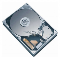 Western Digital WD2500SB opiniones, Western Digital WD2500SB precio, Western Digital WD2500SB comprar, Western Digital WD2500SB caracteristicas, Western Digital WD2500SB especificaciones, Western Digital WD2500SB Ficha tecnica, Western Digital WD2500SB Disco duro